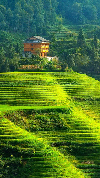 Fantastic things, Sri Lanka's beauty, Pristine landscapes, Scenic graphy HD phone wallpaper