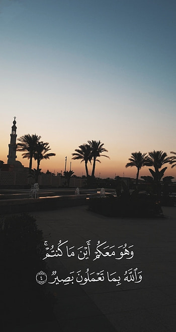 Islamic, afterglow, sky, mosque, quote, nature, palm, Quran, scenery HD phone wallpaper