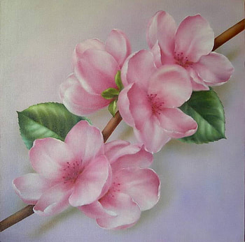 Pink Apple Blossoms, pink, leaves, stem, painting, blossoms, green, lovely HD wallpaper