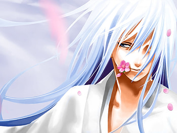 White Knight, white, anime, sakura flowers, cherry blossoms HD wallpaper