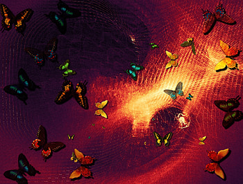 Abstract, Butterflies, Art, hop HD wallpaper