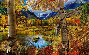 Fall Mountains, Trees, Fall, Nature, Mountains, Moutains, River HD wallpaper