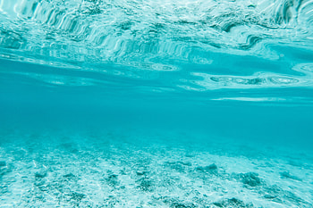 Nature, Waves, Transparent, Depth, Under Water, Underwater, Bottom HD wallpaper