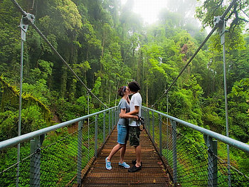 Love in Jungle, in jungle, beautiful, , love HD wallpaper