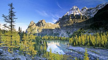 Amazing Landscape, river, trees, sky, rocks, cloud HD wallpaper