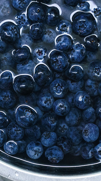Blue Berries In Water, water, blue berries, fruit, food HD phone wallpaper