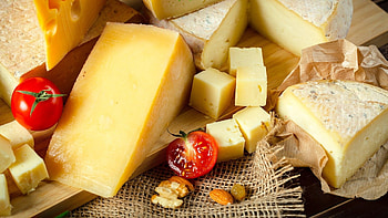 Cheese appreciation, Visual delight, Palate pleaser, Tasty temptation HD wallpaper