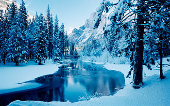 0 Winter Collection Winter Collection HD wallpaper