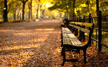 New York, Cities, Sunset, Park HD wallpaper