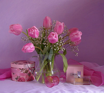 still life, bouquet, gentle, graphy, tulips, nice, flower, , perfume, water, beautiful, cup, pink, box, cool, flowers, harmony HD wallpaper