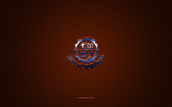 Brothers Union FC, Bangladesh football club, red logo, red carbon fiber background, Bangladesh Premier League, football, Dhaka, Bangladesh, Brothers Union FC logo HD wallpaper