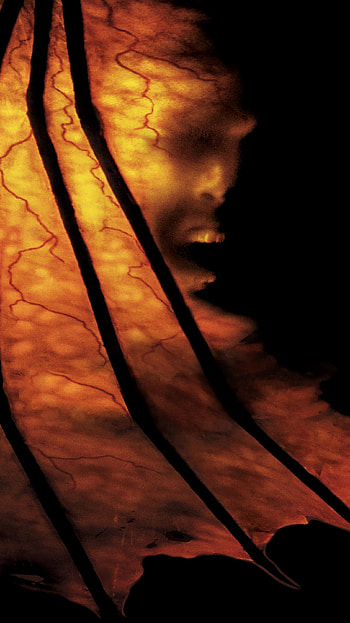 Jeepers Creepers 2 (2022) movie HD phone wallpaper
