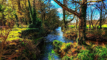 Once Upon a Time, Scotland, trees, leaves, creek, water, autumn HD wallpaper