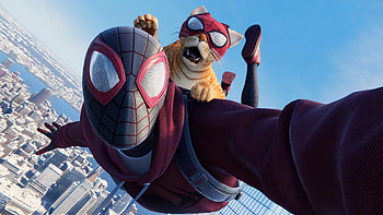 Spiderman-Miles-Morales, Cat, Morales, Miles, Spiderman HD wallpaper