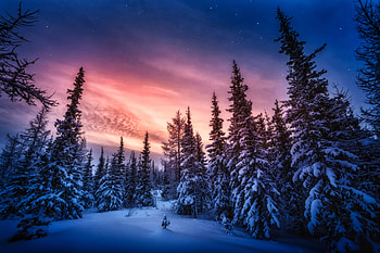 Winter Sunset, nature, Winter, Sunset, snow HD wallpaper