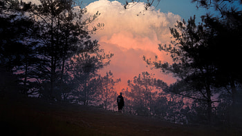Escaped, alone, artist, artwork, digital-art HD wallpaper
