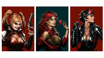 Harley Quinn - Poison Ivy - Catwoman, Harley Quinn, DC Comics, comics, Poison Ivy, characters, illustrations, Catwoman HD wallpaper
