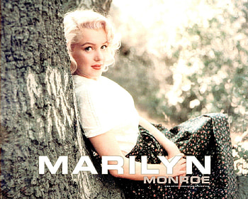 Marilyn Monroe, blonde, pretty, bombshell, gorgeous, movie star, actress, famous HD wallpaper