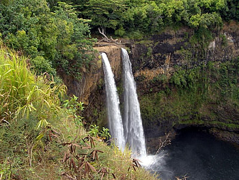 Wailua Falls, falls, trees, bushes, rock HD wallpaper