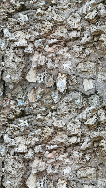 Rock and bones, Unique texture, Contrast of elements, Unconventional design HD phone wallpaper