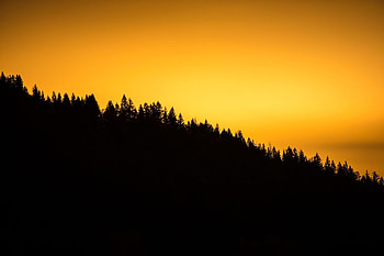 Nature, Sunset, Horizon, Silhouette, Forest HD wallpaper