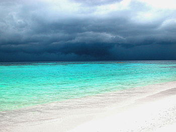 before the storm, sea, waves, clouds, sky, beach HD wallpaper