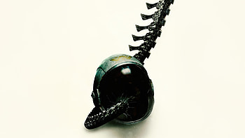 Alien: Romulus — Quad — Helmet & Spine, Alien: Romulus HD wallpaper