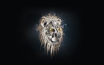 Cool-Lion-Mask-.jpg HD wallpaper