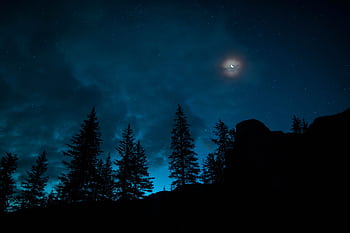 A mesmerizing night sky with crescent moon and starry backdrop over silhouetted pine trees. HD wallpaper