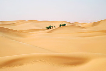 Oasis, Sahara, Landscape, , Desert, Africa, Dune, Sand HD wallpaper