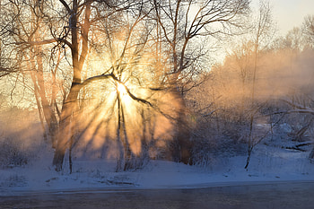 Winter Sunrise, winter, frost, snow, trees, nature, forest, sunrise HD wallpaper