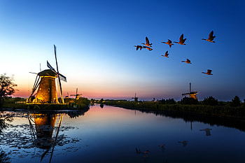 Windmill Birds Flying Evening Lake , windmill, birds, flying, evening, lake, nature HD wallpaper