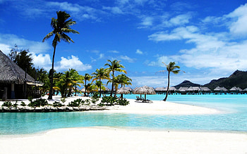 Nature, Palms, Island, Bay, Huts, Bora Bora, Clear Water HD wallpaper