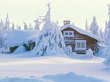 Snow Covered, white, snow, trees, cabin, tree HD wallpaper