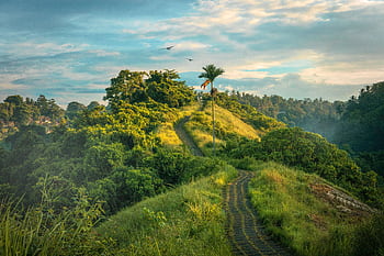 Explore a tranquil pathway amidst Bali's lush green hills under a vibrant morning sky. HD wallpaper