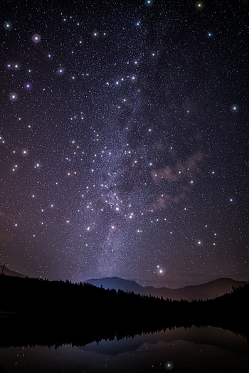 Trees, Sky, Mountains, Stars, Night, Dark, Shine, Forest, Starry Sky, Brilliance HD phone wallpaper