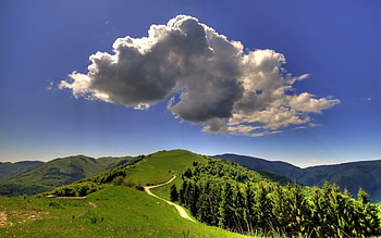 Landscape, Nature, Sky, Mountains, Forest, Path, Trail, Volumetric, Cloud, Clear, I See, Surround HD wallpaper