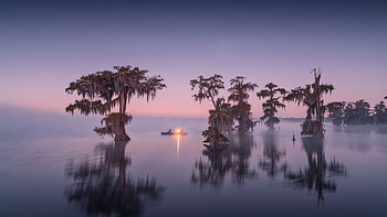 Lake Martin, lake, nature HD wallpaper