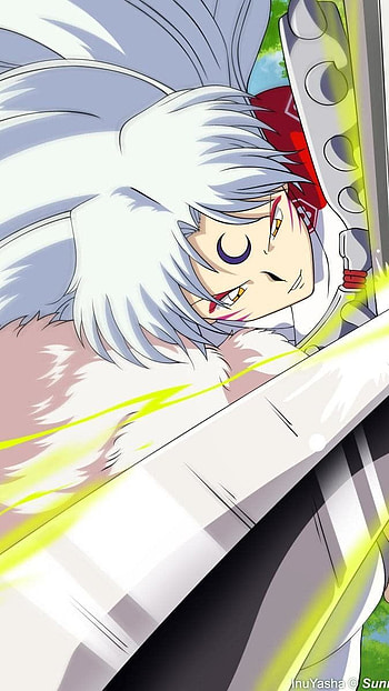 Fighting Canus fluffius, anime HD phone wallpaper