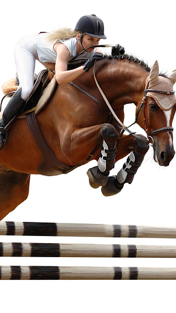 Horse jumping beauty, Striking horse leaps, Graceful equestrian sport, Dynamic horse movement HD phone wallpaper