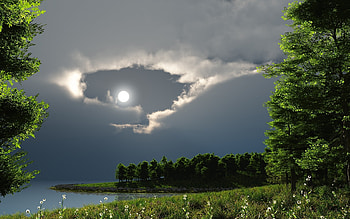 Landscape, Trees HD wallpaper