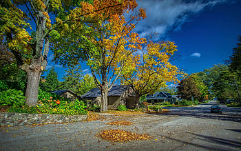 Michigan, Northport, leaves, house, fall, street, trees, autumn, colors, sky, usa HD wallpaper