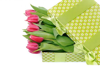 Spring in a box, tulip, box, green, tulips, spring HD wallpaper