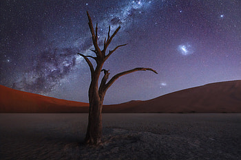 Tree Desert Milky Way , milky-way, desert, nature HD wallpaper