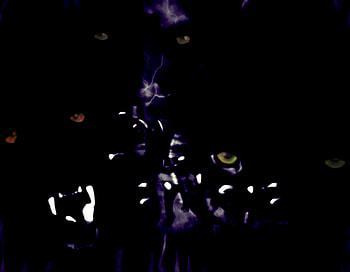 Eyes in the Dark, eyes, evil, scary, dark HD wallpaper