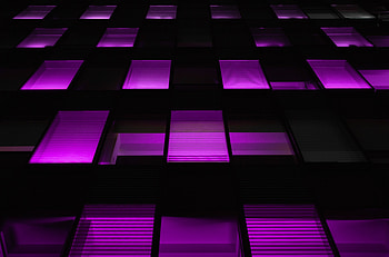 Windows, Violet, Dark, Neon, Backlight, Illumination, Purple HD wallpaper
