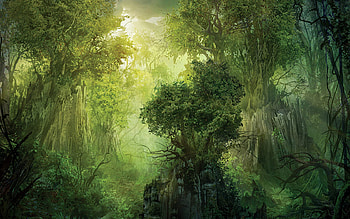 green forrest, trees, forrest, plants, green HD wallpaper