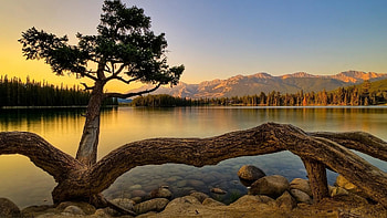 Relax HD wallpaper