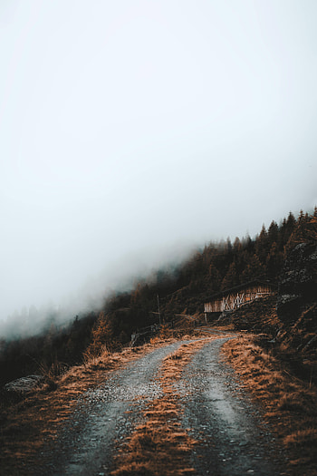 Nature, Trees, Building, Road, Slope, Cloud HD phone wallpaper
