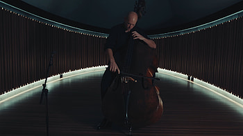 ACO double bassist, Maxime Bibeau, Interview, Behind the scenes HD wallpaper